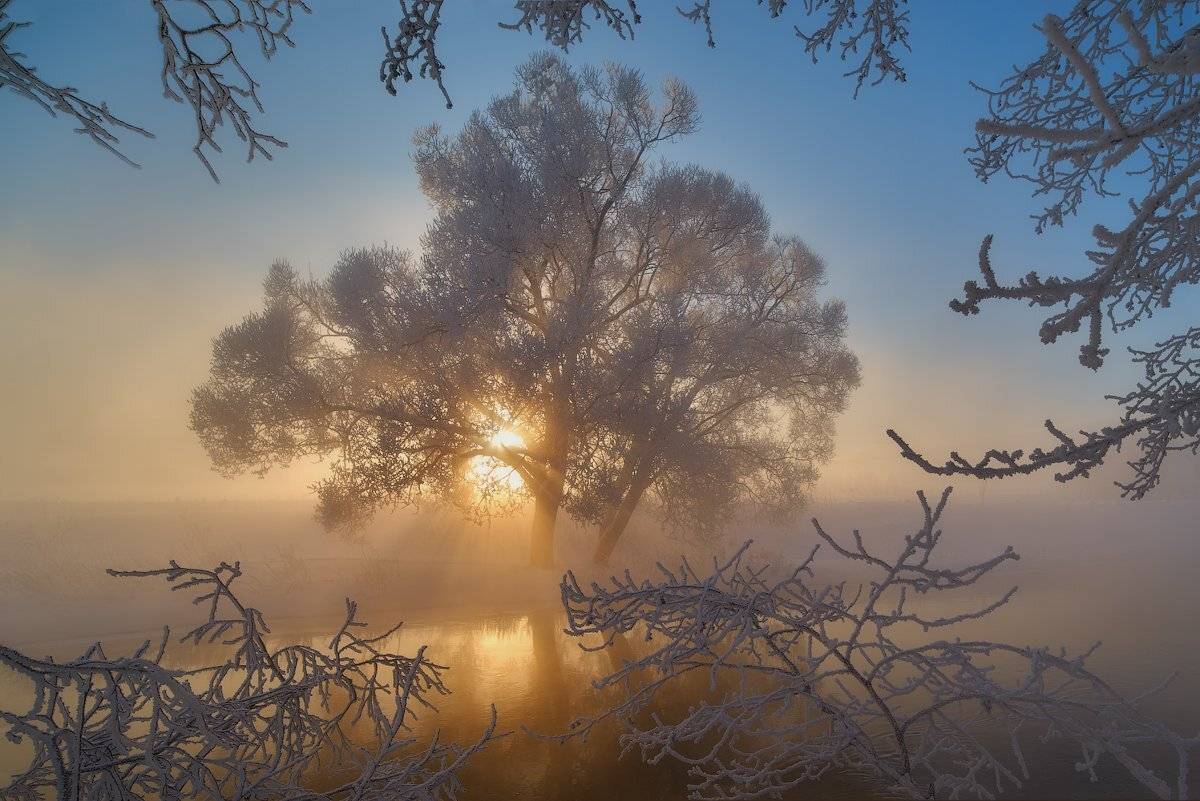 , Романский Владимир (NikonZoom)