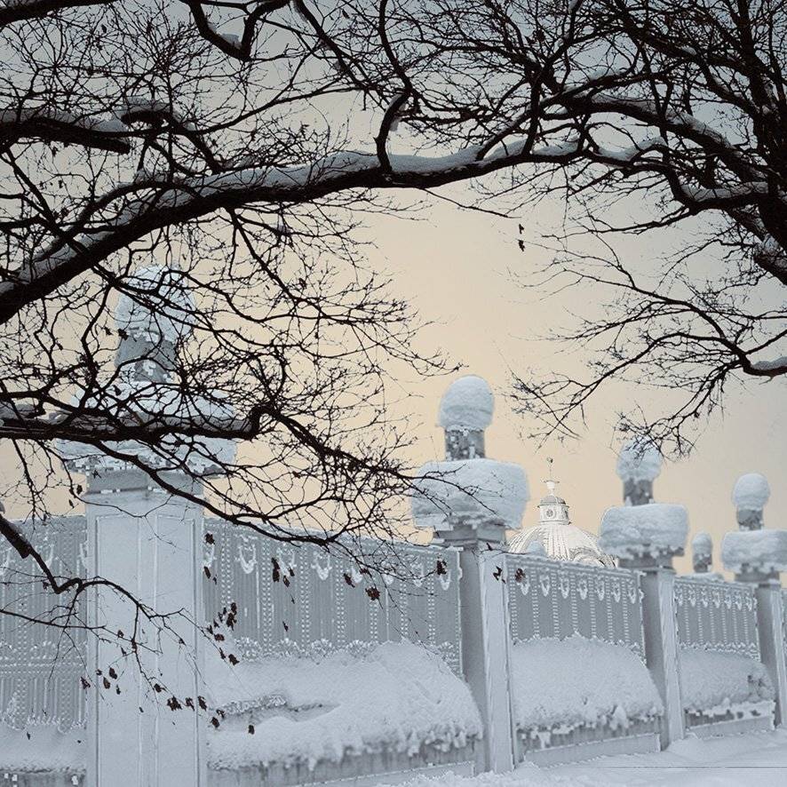 , T. Bondarenko