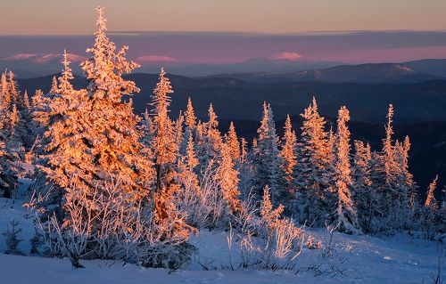 Розовый вечер на горе Зелёной