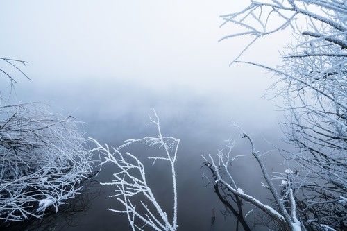 Туманное утро