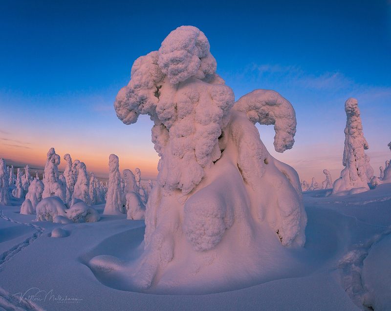Всадник снежной долины фото превью