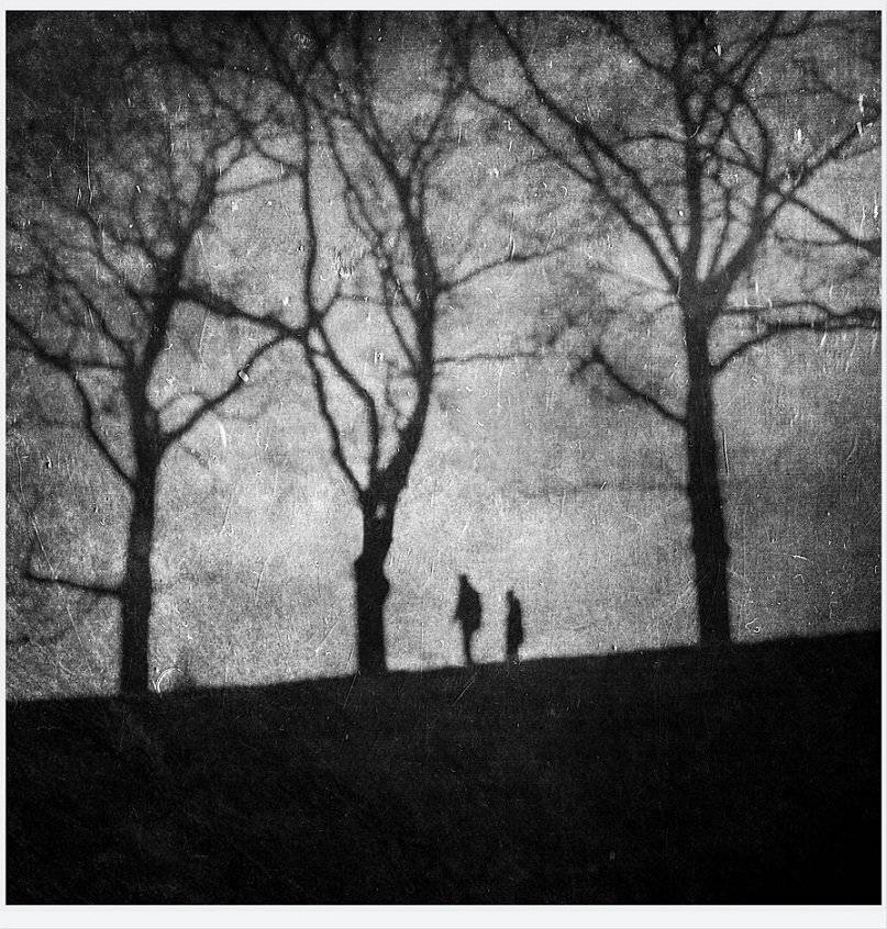 , Krzysztof Trojanowski