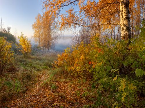 Осенняя палитра