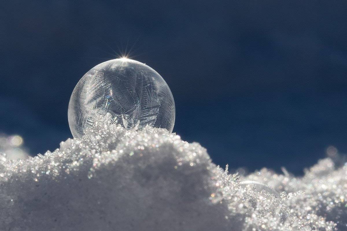 , Елена Давыдова