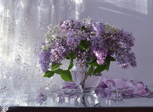 ...Весна с кружевами сирени...