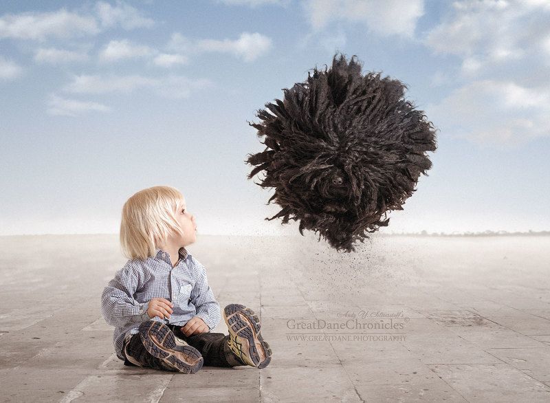 Return of the Magic Mop! фото превью