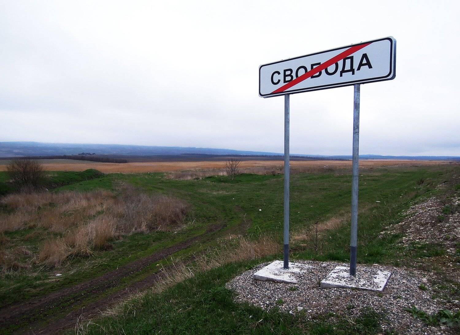 Политика, Михаил Пшеннов