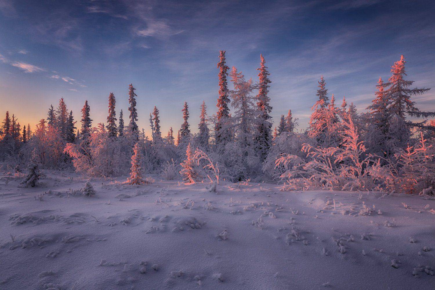 , Евгений Кужилев