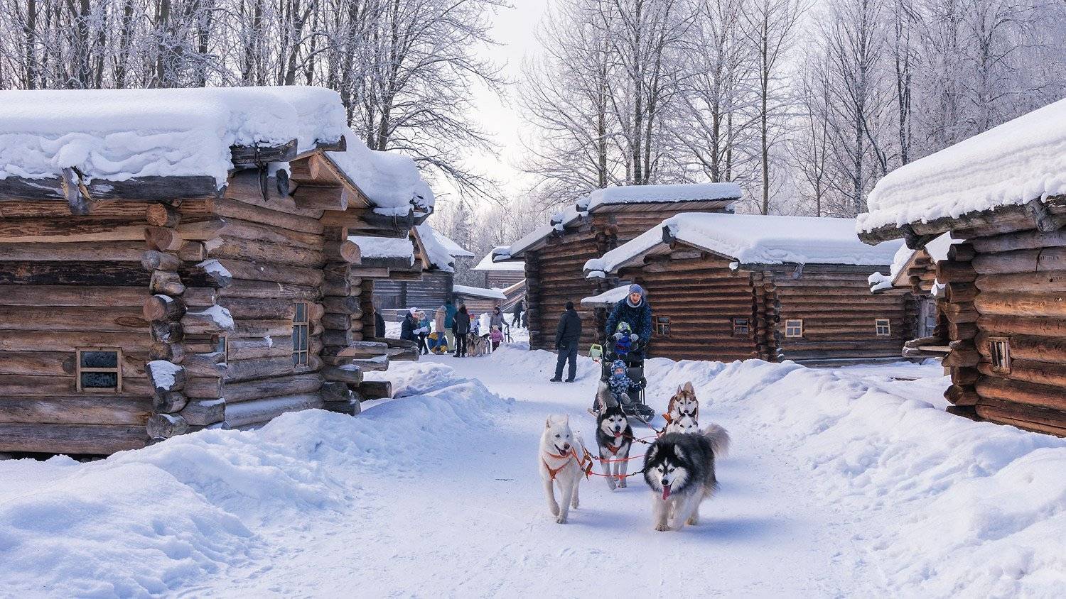 зима, снег, дома_деревянные, избушки, хаски, упряжка, гонки, Ра Вера