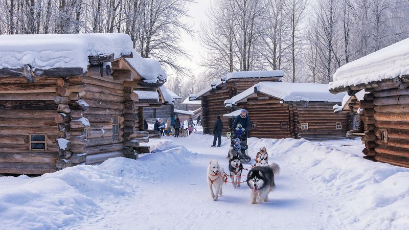 зима, снег, дома_деревянные, избушки, хаски, упряжка, гонки В сказочном городке фото превью