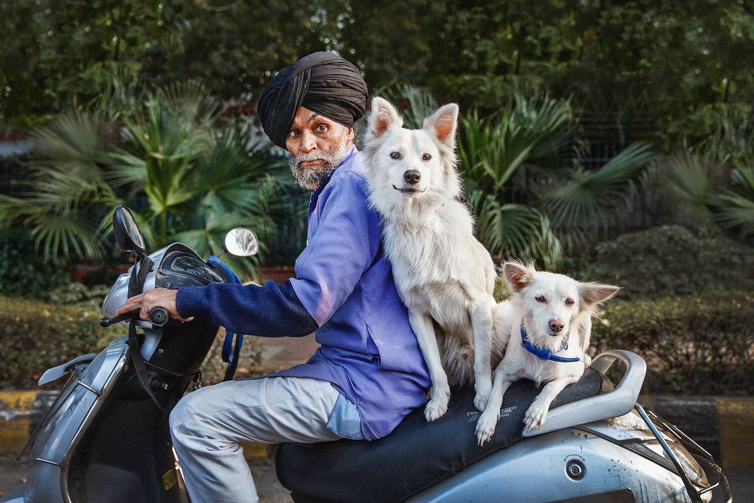 индия, дели, портрет, жанр, путешествие, india, portrait, man, travel, new delhi, Анастасия Колесникова