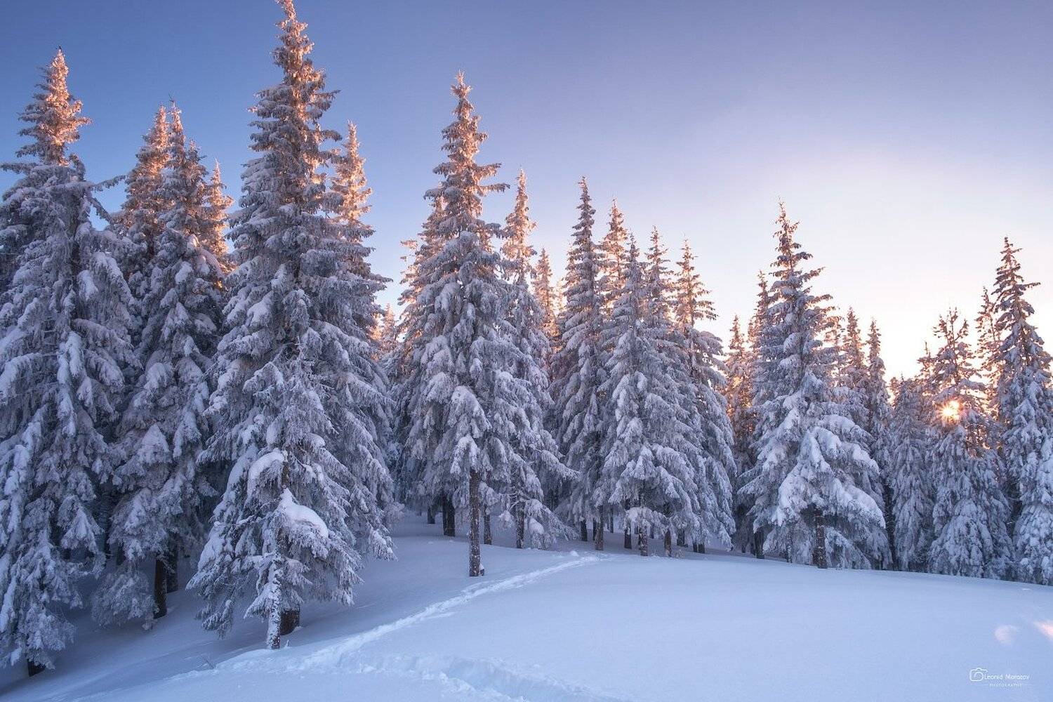 snow., mountain, .glacier.evergreen, .snowfall., ridge, .snowy., slope, .mountain., peak., mountain., range., snowcapped., mt, foraker., Леонид Морозов