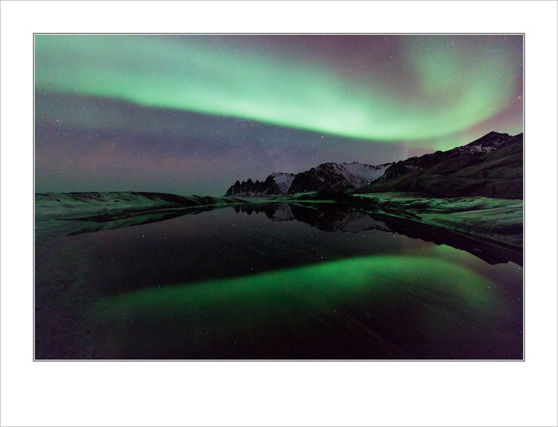 Охота на лис \\ Прекрасная природа фото превью