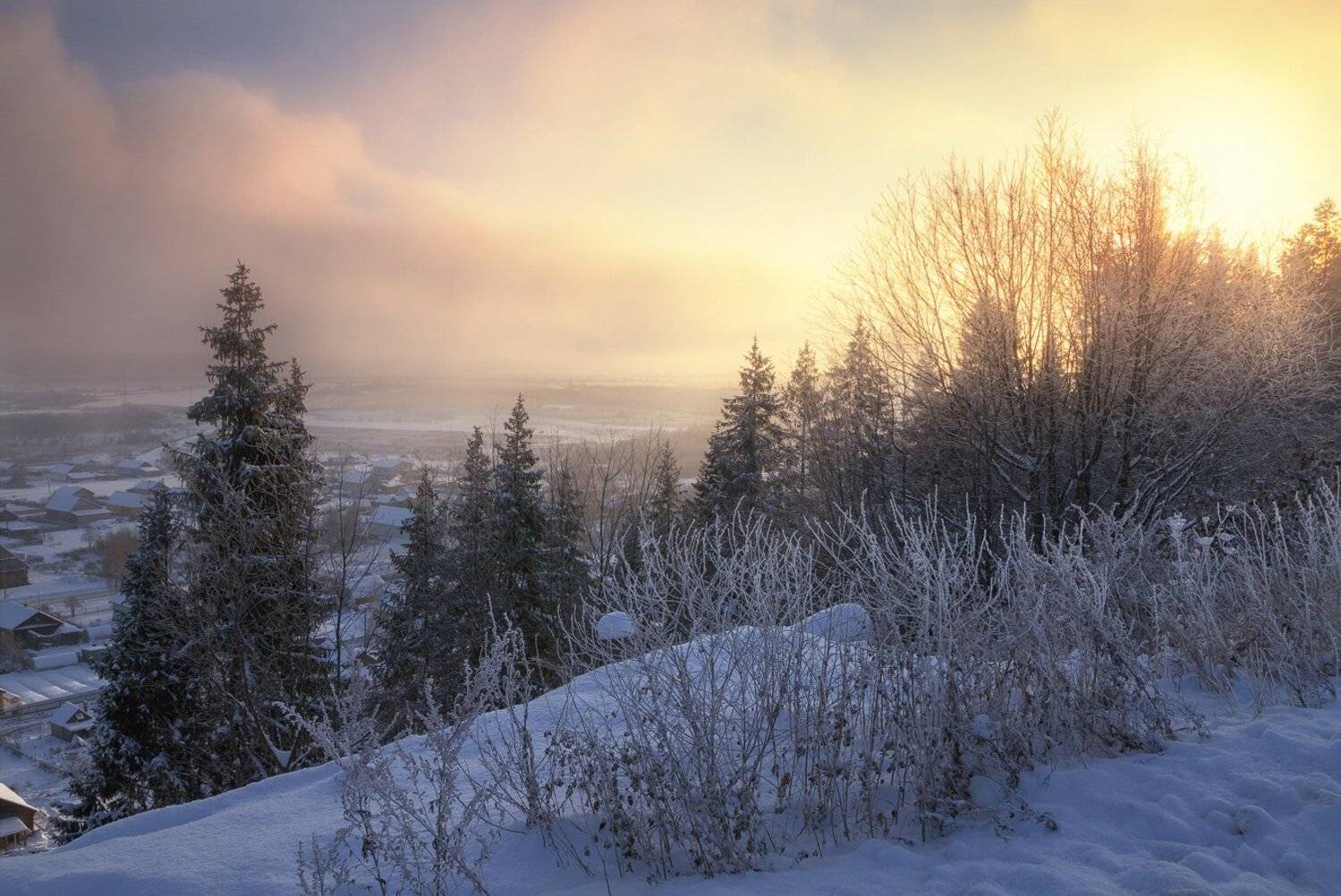 зима, закат, лес, парк, мороз, ель, рассвет, Смольский Евгений
