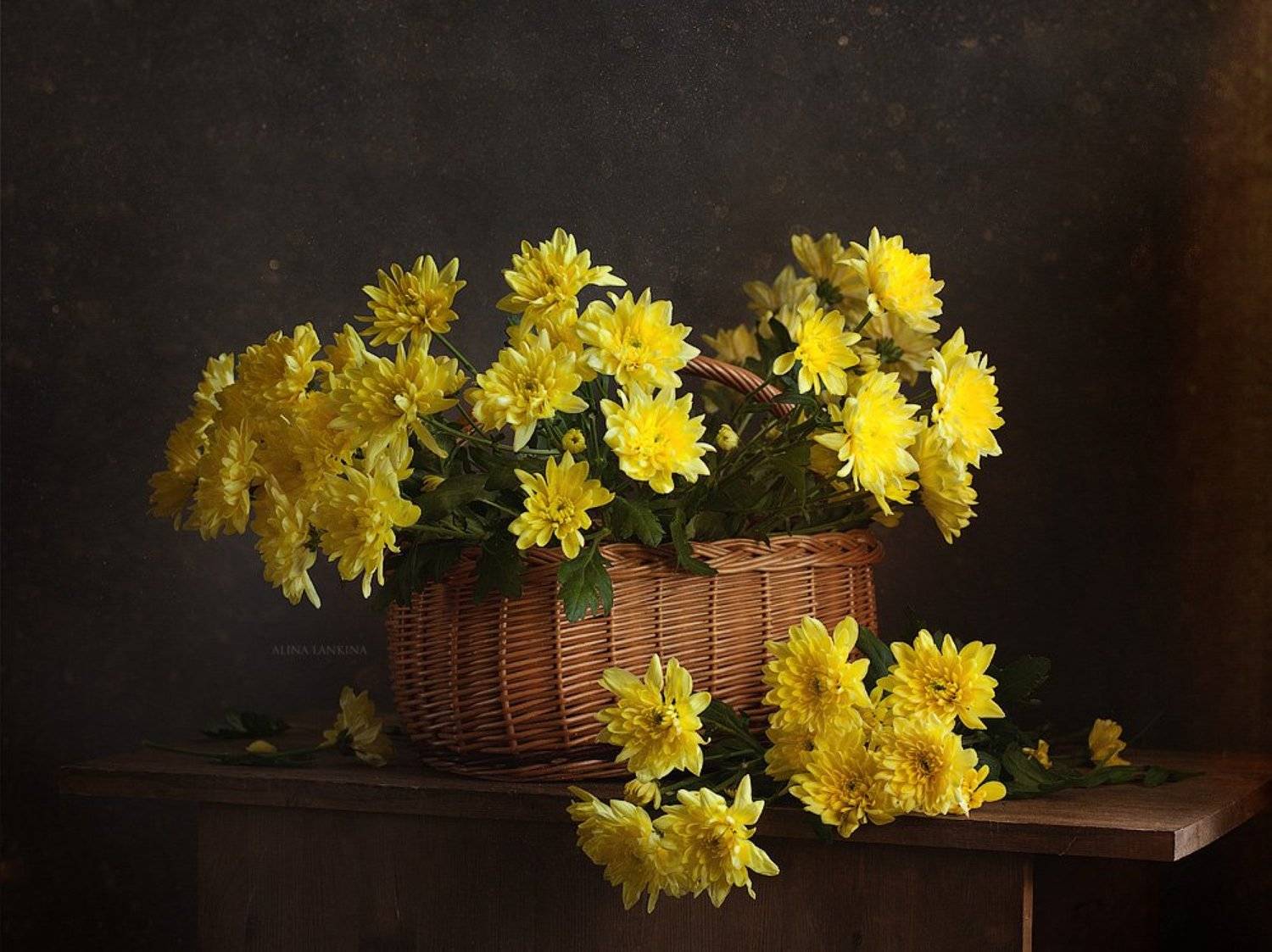 натюрморт, фотонатюрморт, цветы, свет, букет, корзина, хризантемы, желтые цветы, желтые хризантемы, алина ланкина, настроение, Алина Ланкина