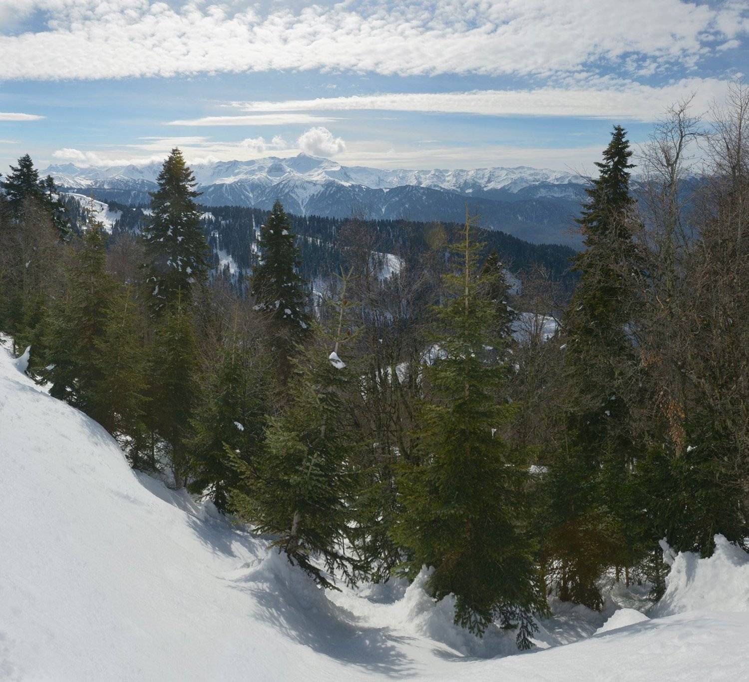красная поляна, роза хутор, абхазия, Сергей Седов