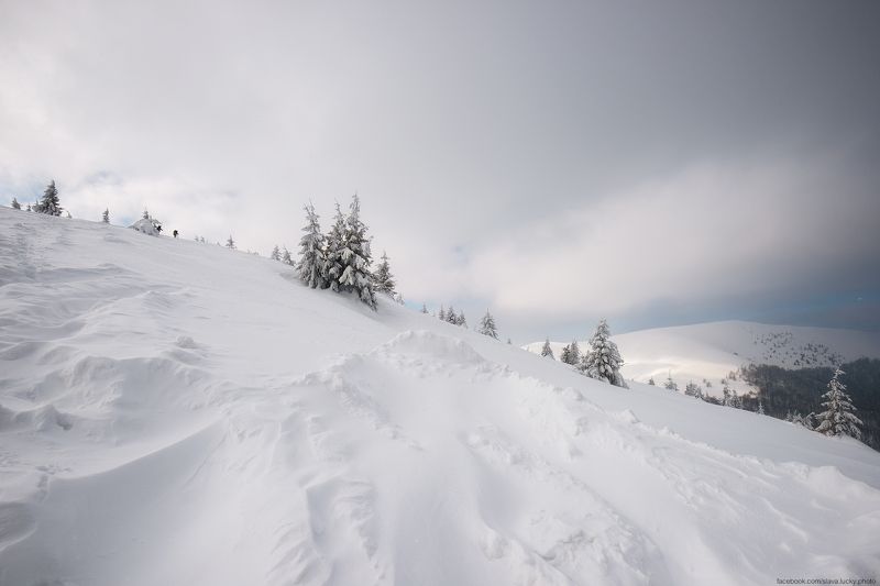 Путь наверх фото превью