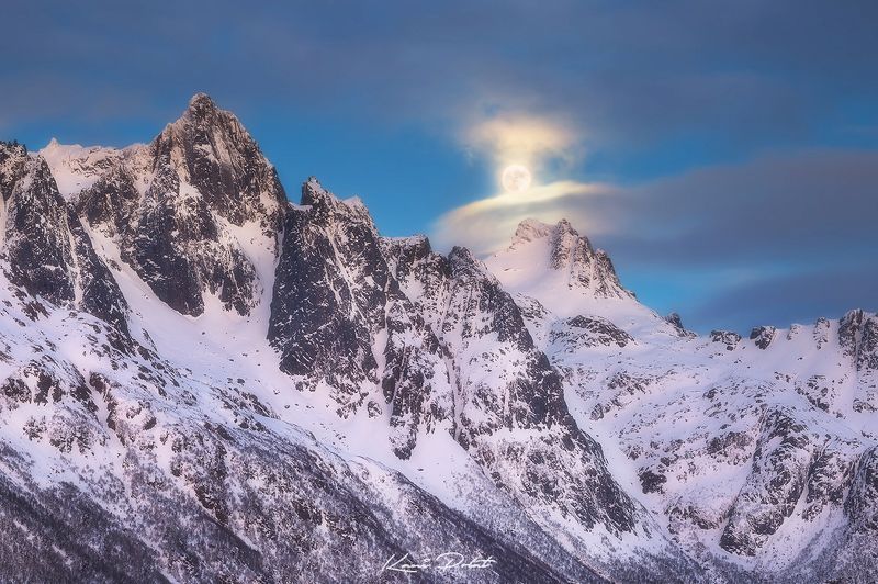 Moonlight фото превью