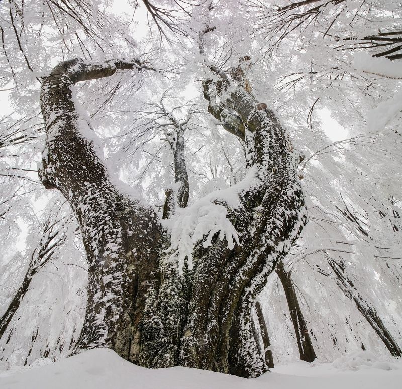 фото превью