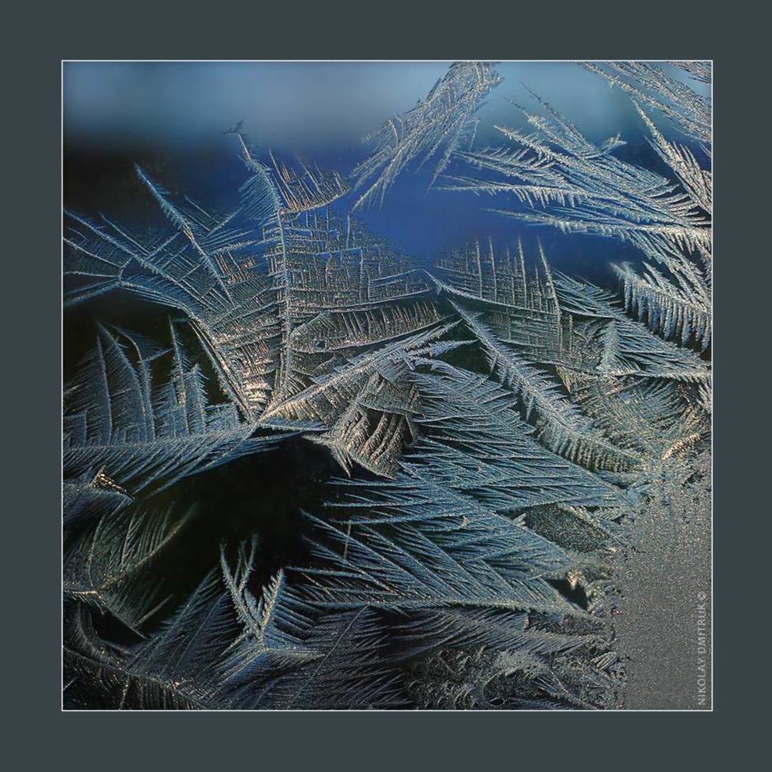 абстракция, мороз, музыка, николай дмитрук