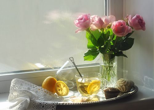 В одно солнечное февральское утро...