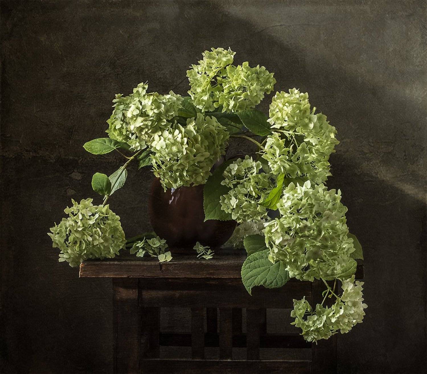 натюрморт, цветы, still life, Оля