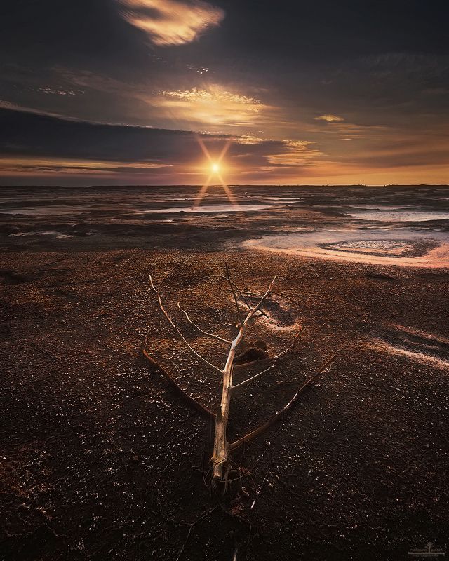 баскунчак Соленые степи горячей земли фото превью