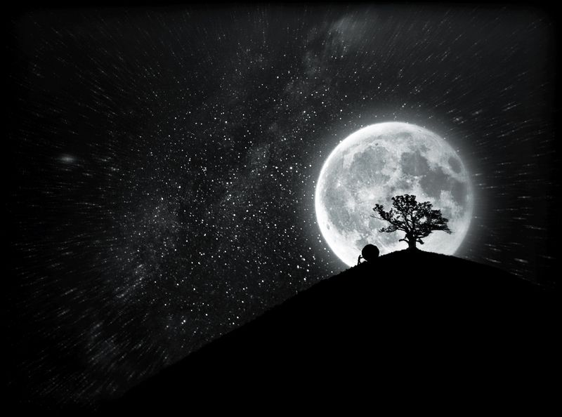 The End! фото превью