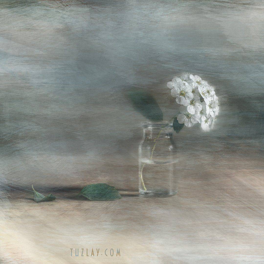 холст, цветы, флора, квадрат, невеста, спирея, весна во флаконе, интерьерный дизайн, Владимир Тузлай