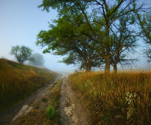 Countryroad
