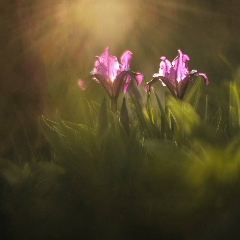 , Татьяна Аверина