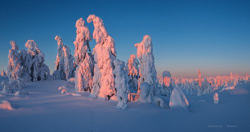 Зимняя сопка Волостная
