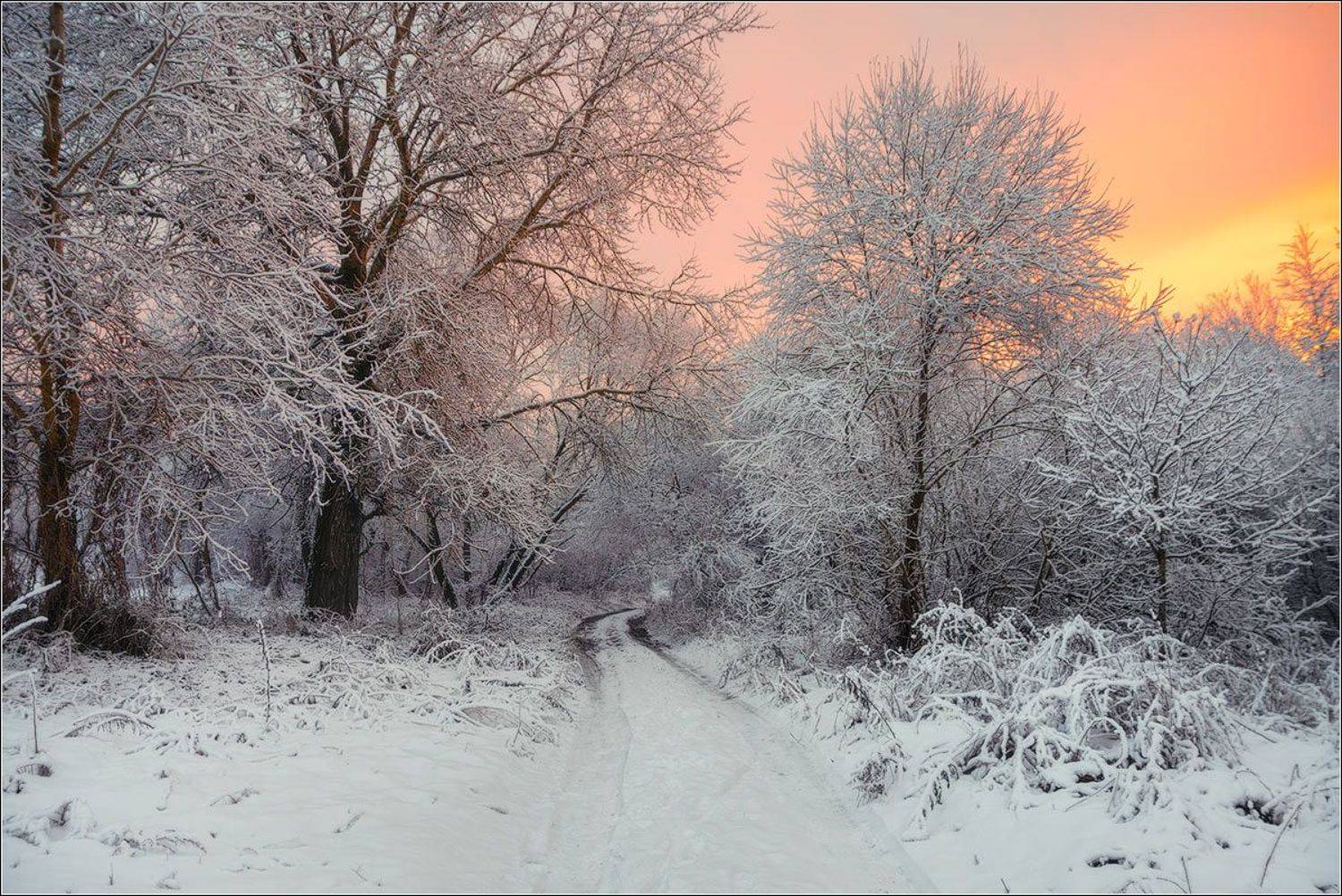 зима, закат, верхнедвинск, беларусь, Andrew Kuzmin