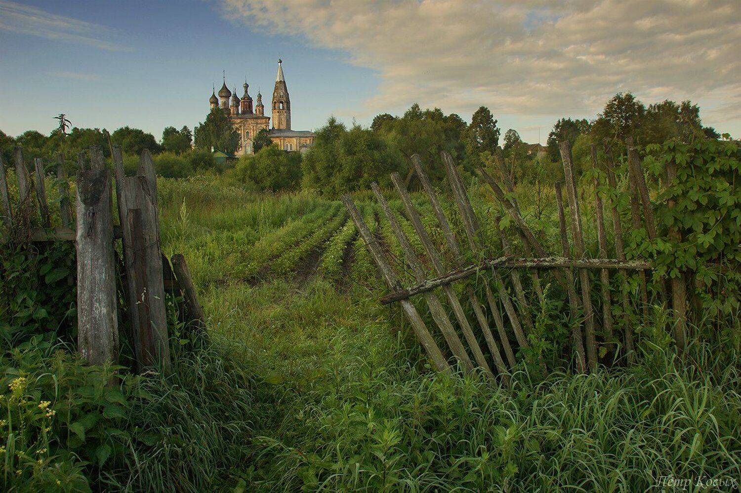 , Петр Косых