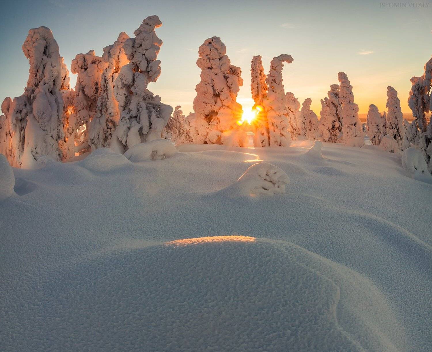 пейзаж,свет,россия,кандалакша,кольский,север,тень,деревья,зима,панорама, Виталий Истомин