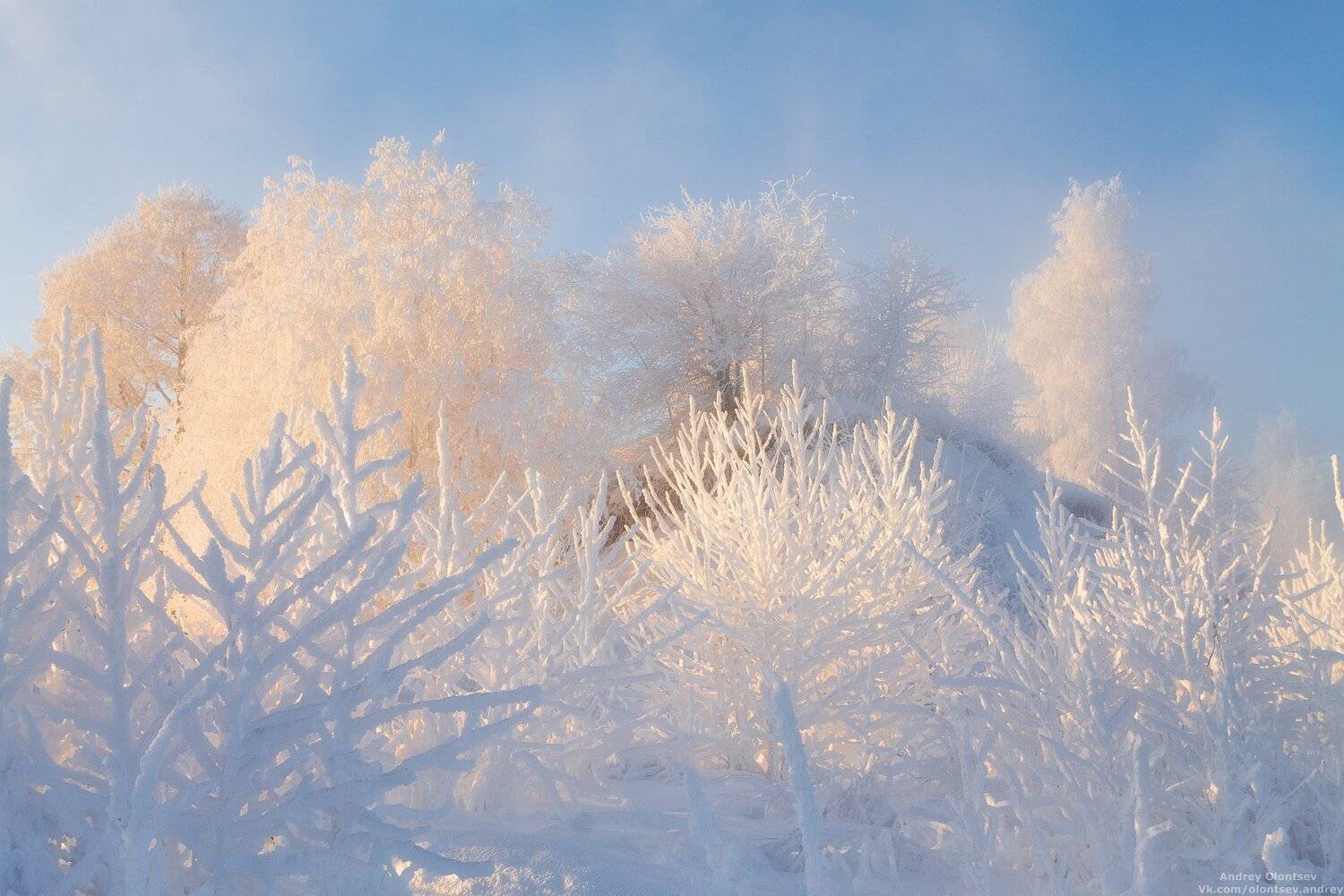 дубна, наукоград, подмосковье, россия, пейзаж, пейзажи, вода, солнце, отражение, рассвет, красота, природа, весна, погода, canon dubna, naukograd, moscow, russia, landscape, water, sun, reflection, dawn, beauty, nature, spring, weather, Андрей Олонцев