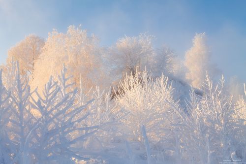 Зимняя сказка.