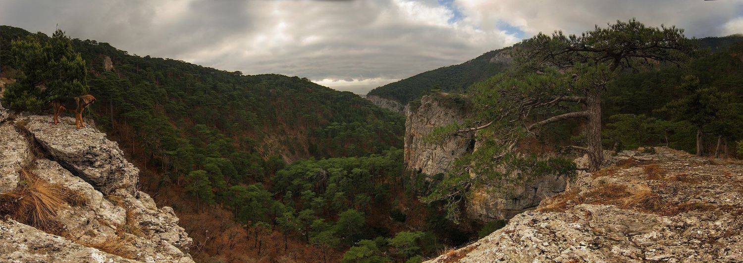 горы, крым, Алексей