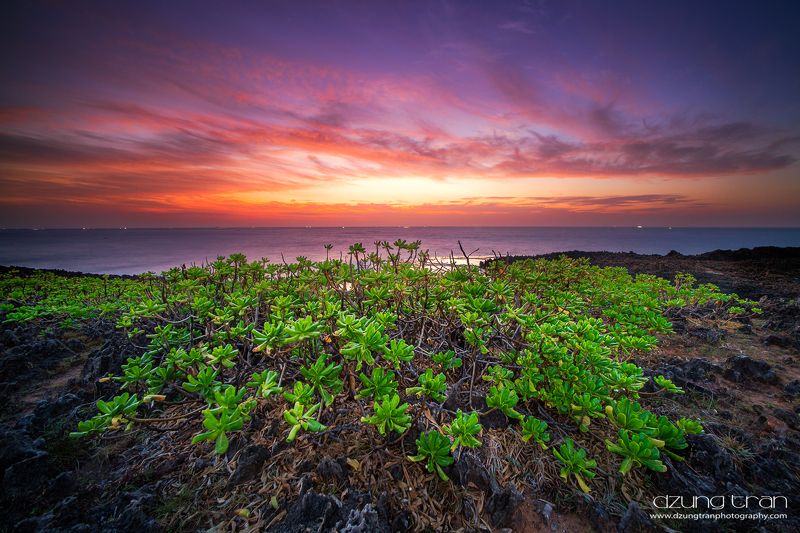 Life фото превью