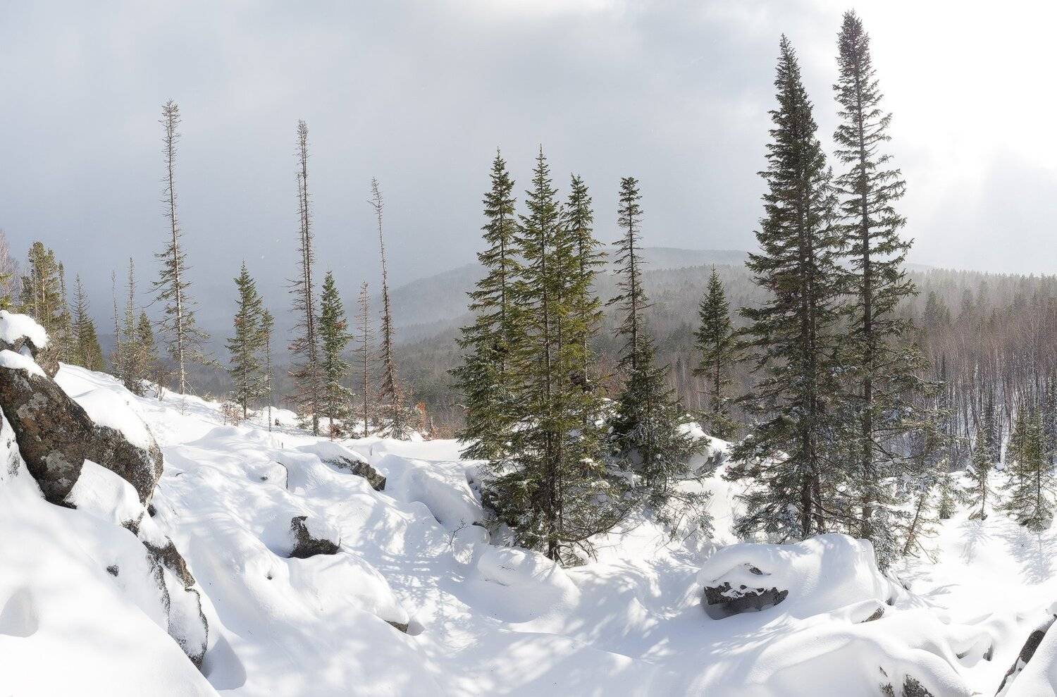 , Лещёнок Александр
