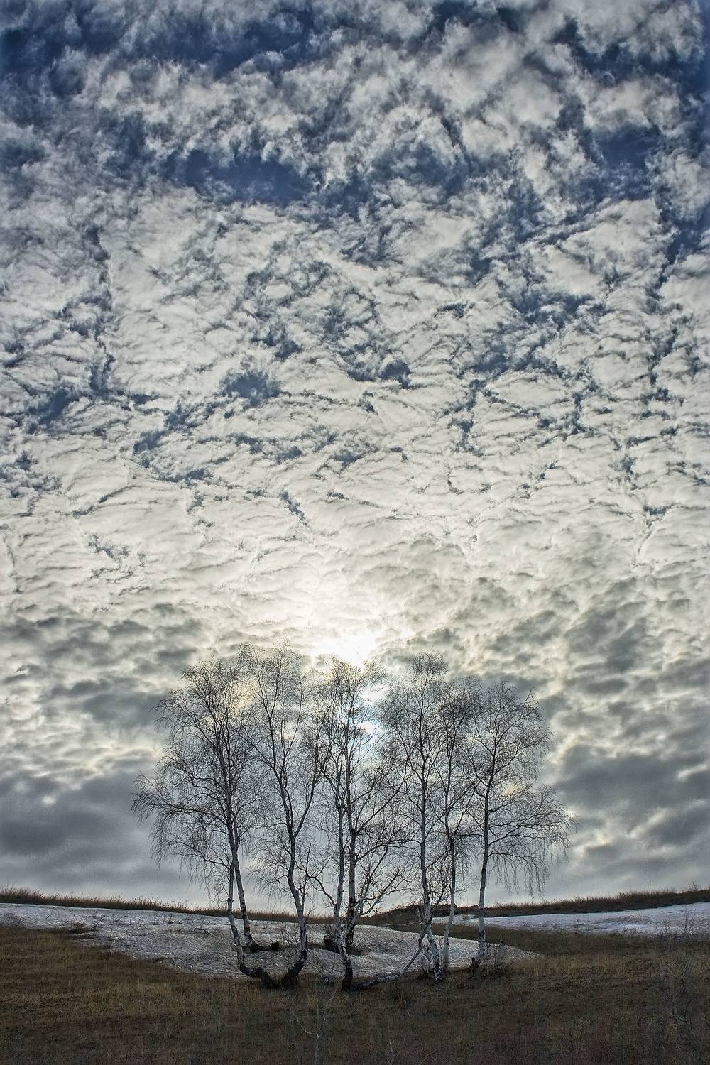 орск оренбургская обл. качурин новотроицк южный урал весна снег март, Качурин Алексей