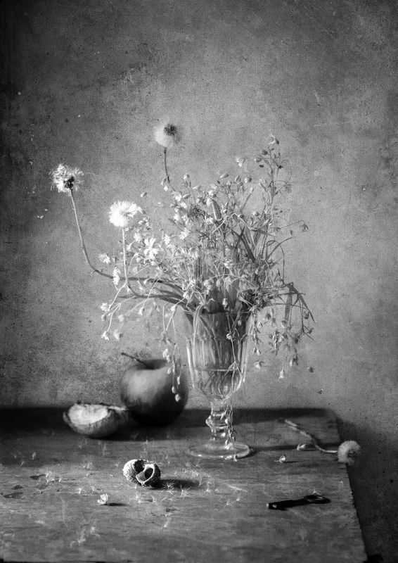 *** фото превью