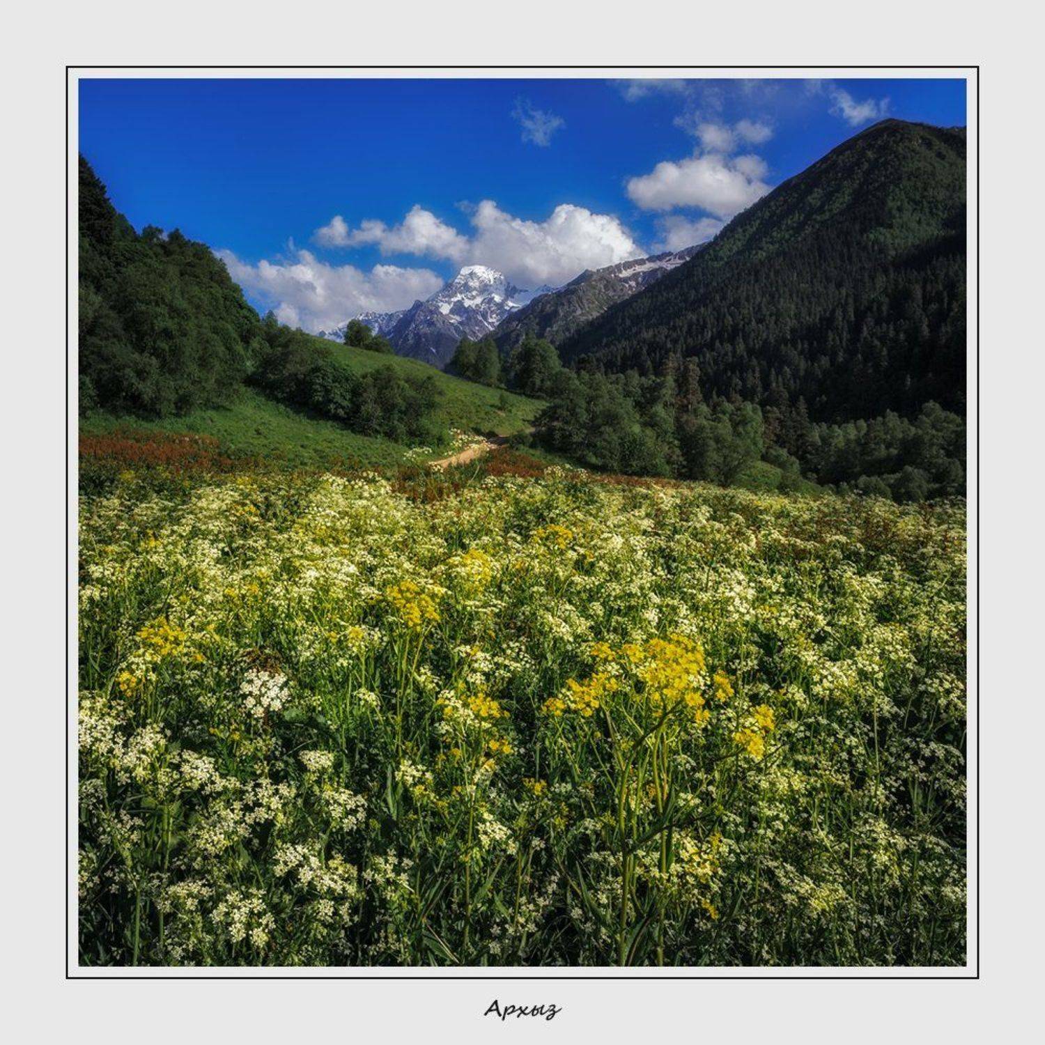 , Олег Дунаев