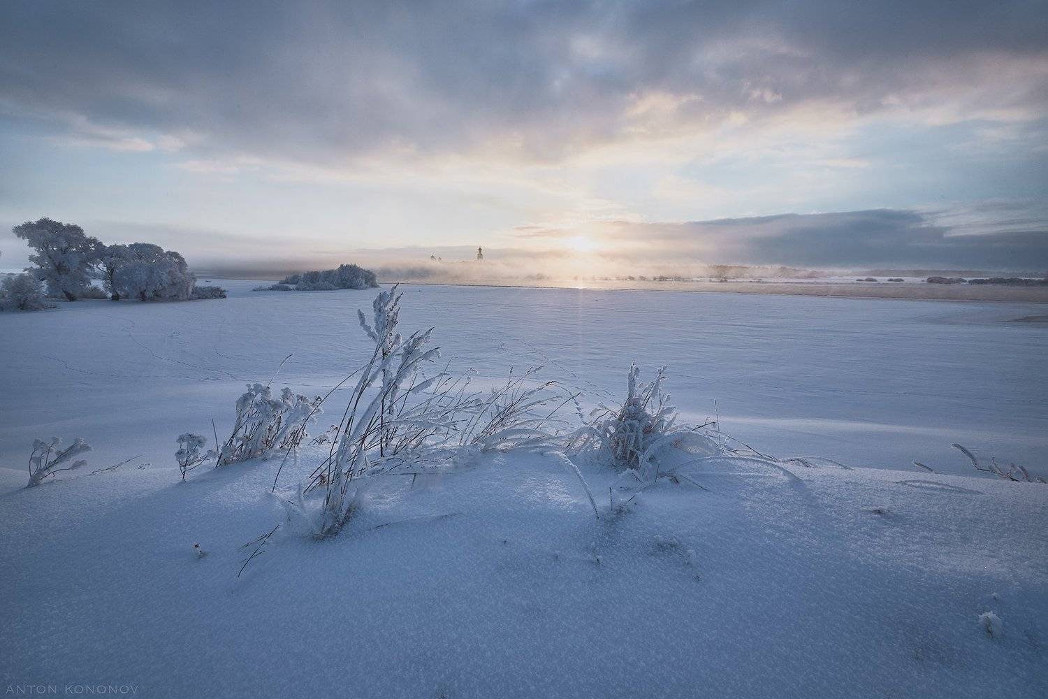 , Антон Кононов