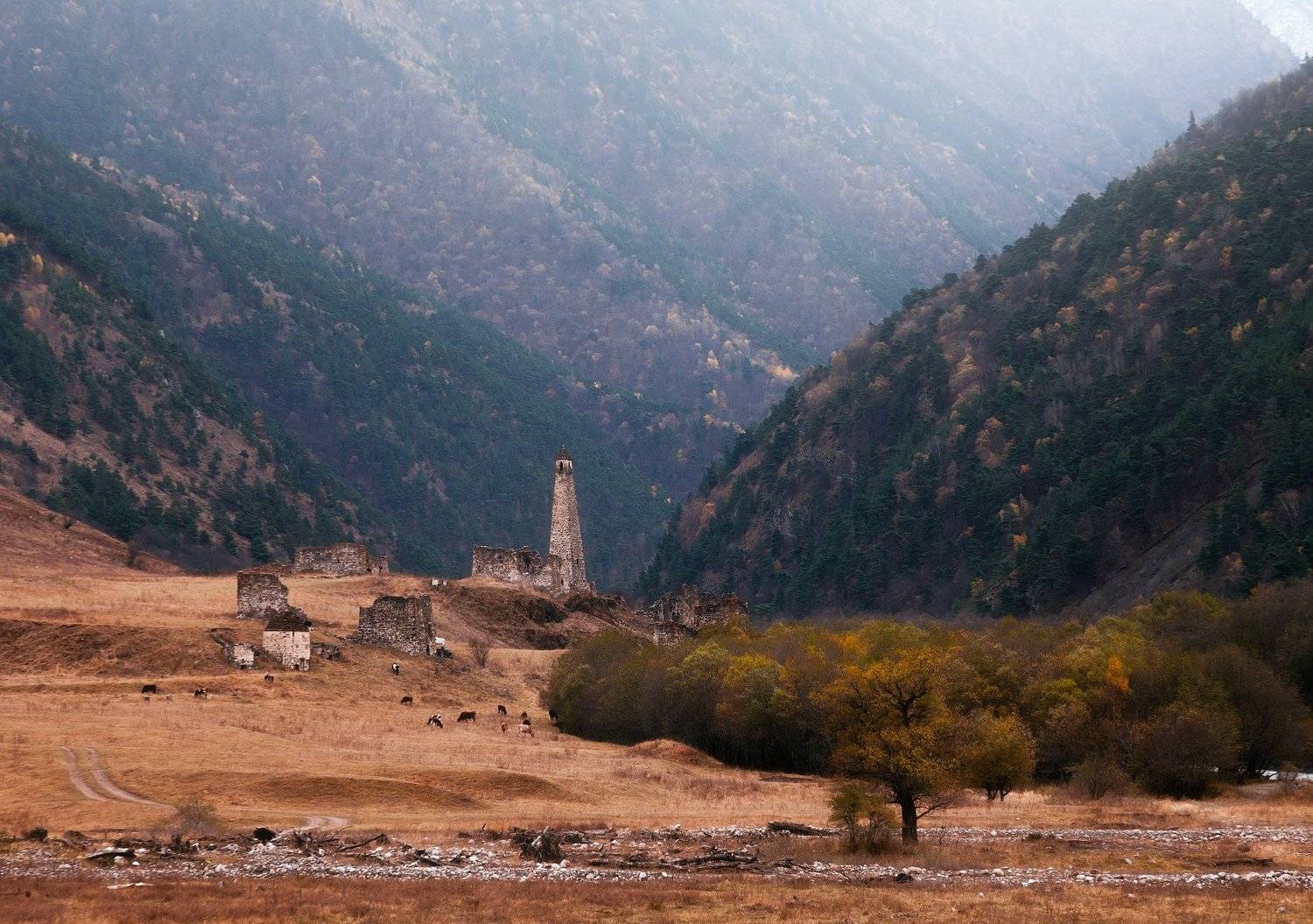 , Сергей Сутковой