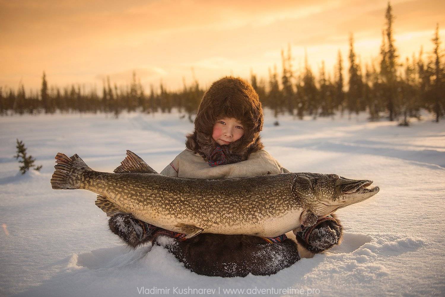 , Vladimir Kushnarev