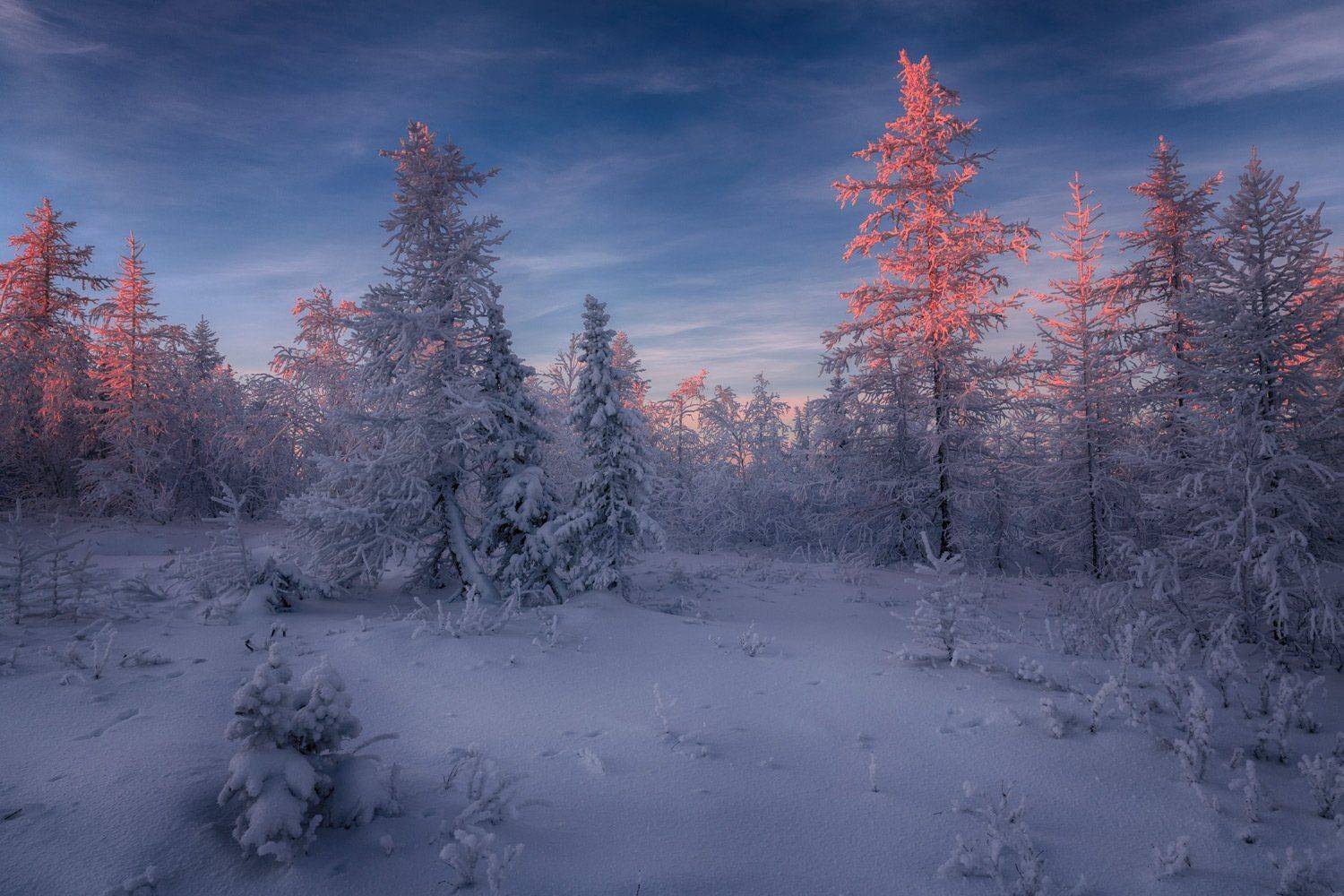 , Евгений Кужилев