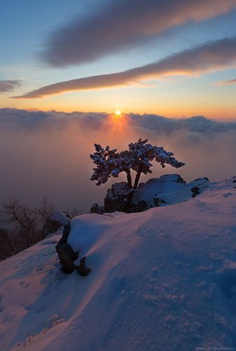 Крымская зима