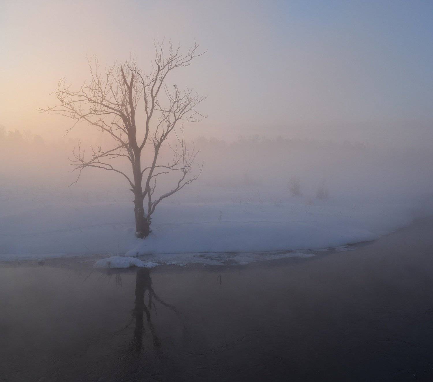 , Александр Пархоменко