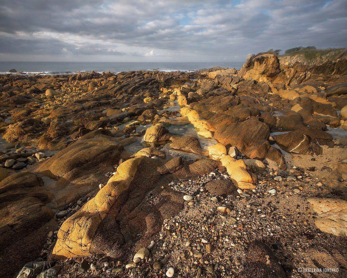 , Екатерина Ионенко